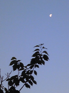 half moon.